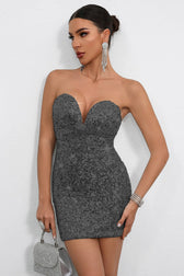 Bodycon Sequin Dress