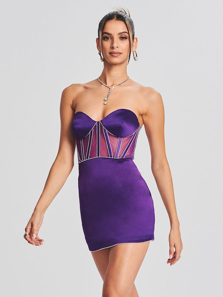 Mesh Corset Mini Dress