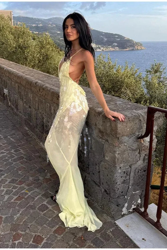 Sexy Sequins Backless Maxi Dress