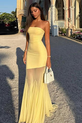 Sheer Mesh Dress