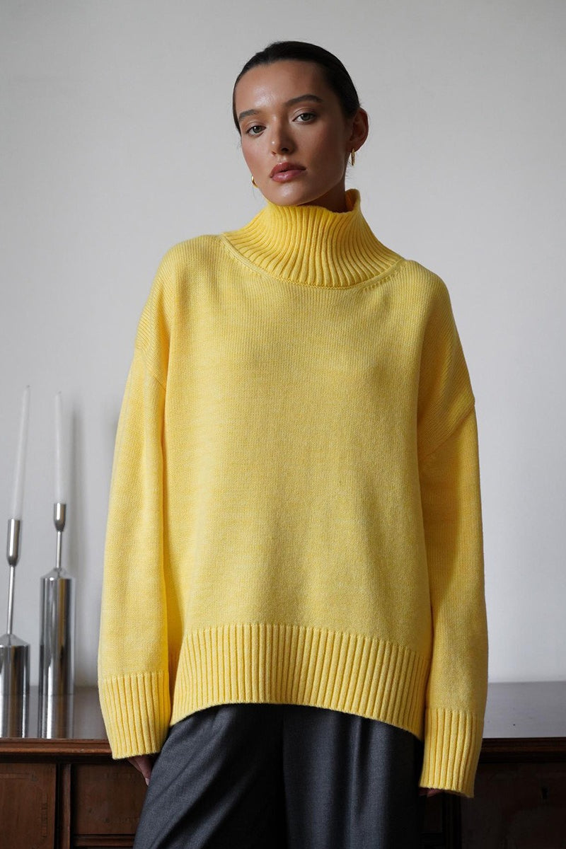 Turtleneck Knit Sweater