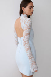 Strapless Lace Panel Sheer Backless Bodycon Lace Dress
