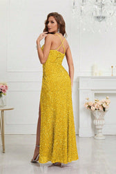 Sequin Dress