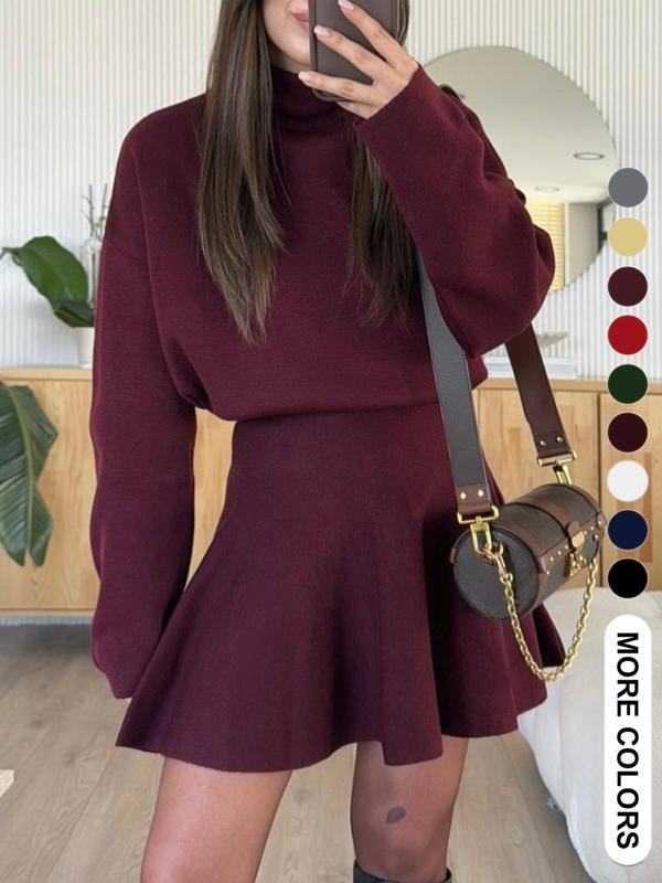 High Neck Long Sleeve Ribbed Knit Mini Dress