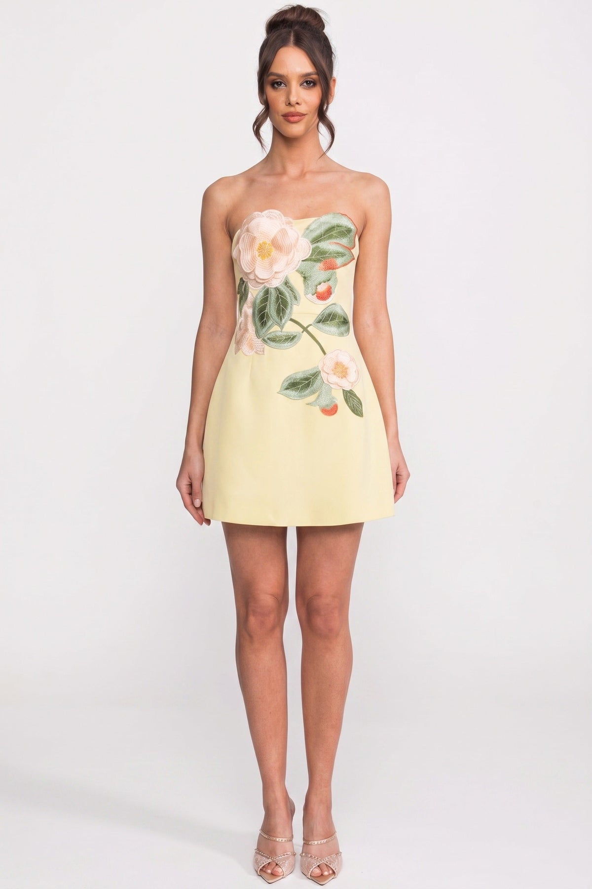 Strapless Embroidered Floral Applique A-Line Mini Dress 3