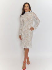 Giulia High Collar Lace Midi Dress