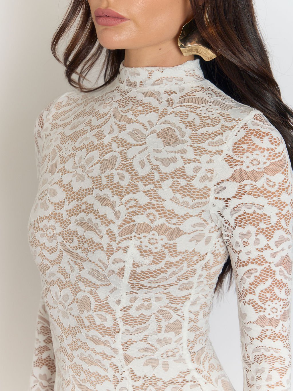 Giulia High Collar Lace Midi Dress 4