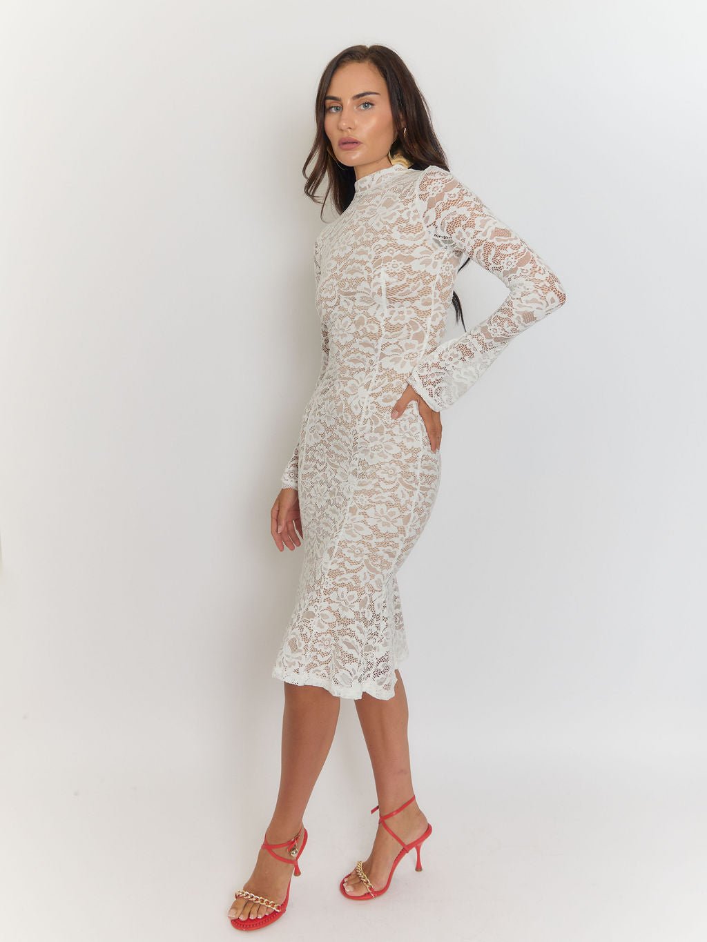 Giulia High Collar Lace Midi Dress 6