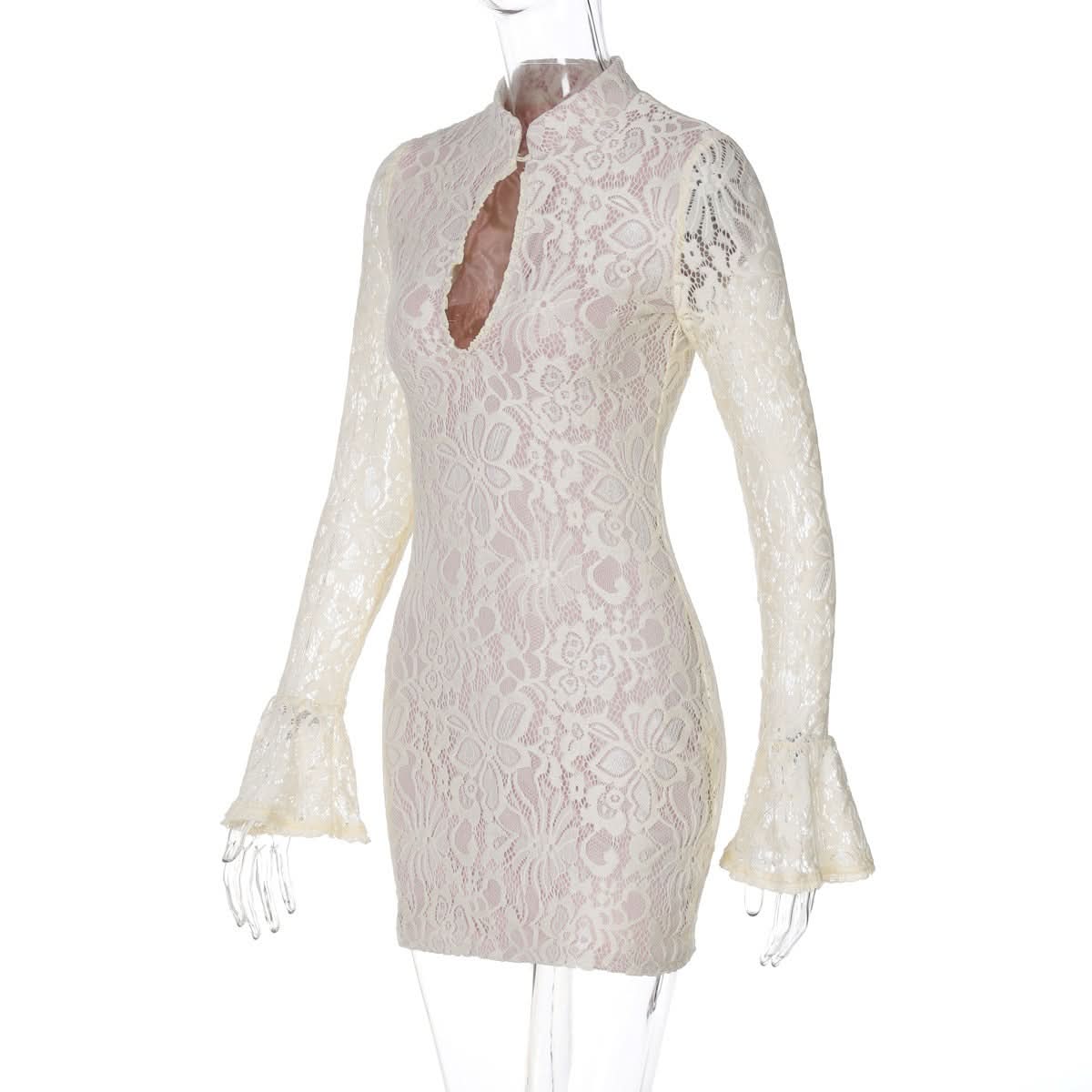Lace Mock Neck Keyhole Cut Out Long Sleeve Bodycon Mini Dress 3