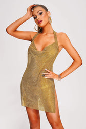 Metallic Mesh Mini Dress