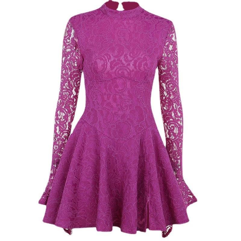 Mock Neck Long Sleeve Lace Fit and Flare Mini Dress