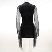 Mesh crewneck long sleeve see through embroidery mini dress 5