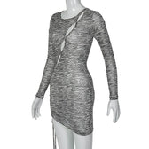 Zebra print hollow out irregular long sleeve sheer mesh see through mini dress 3