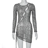 Zebra print hollow out irregular long sleeve sheer mesh see through mini dress 9