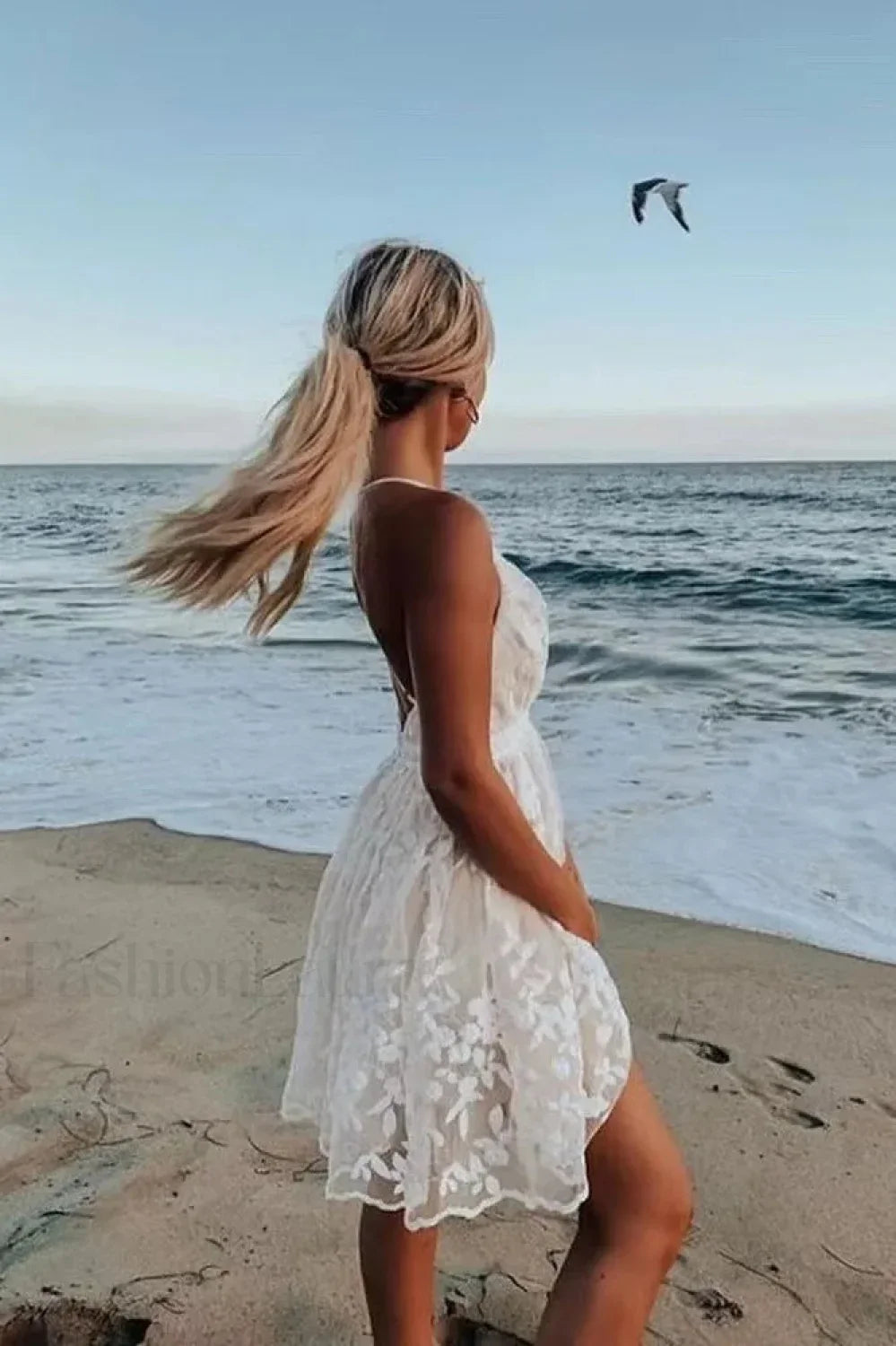 Lace Mesh Backless Boho Dress