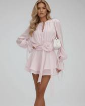 Chiffon Long Sleeve Rosette Appliqué Mini Dress 7
