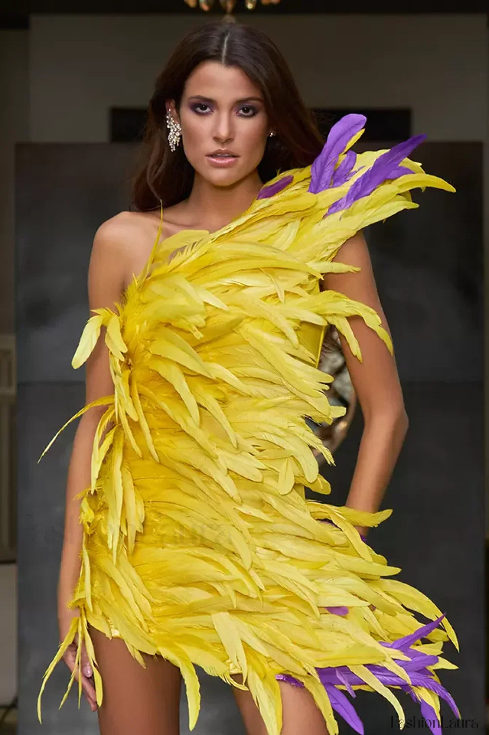 Paislee Asymmetric Stylish Feather Mini Dress