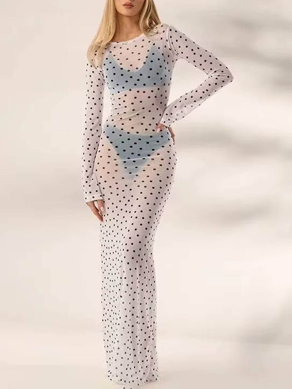 Paloma Mesh Swim Cover Maxi Dress