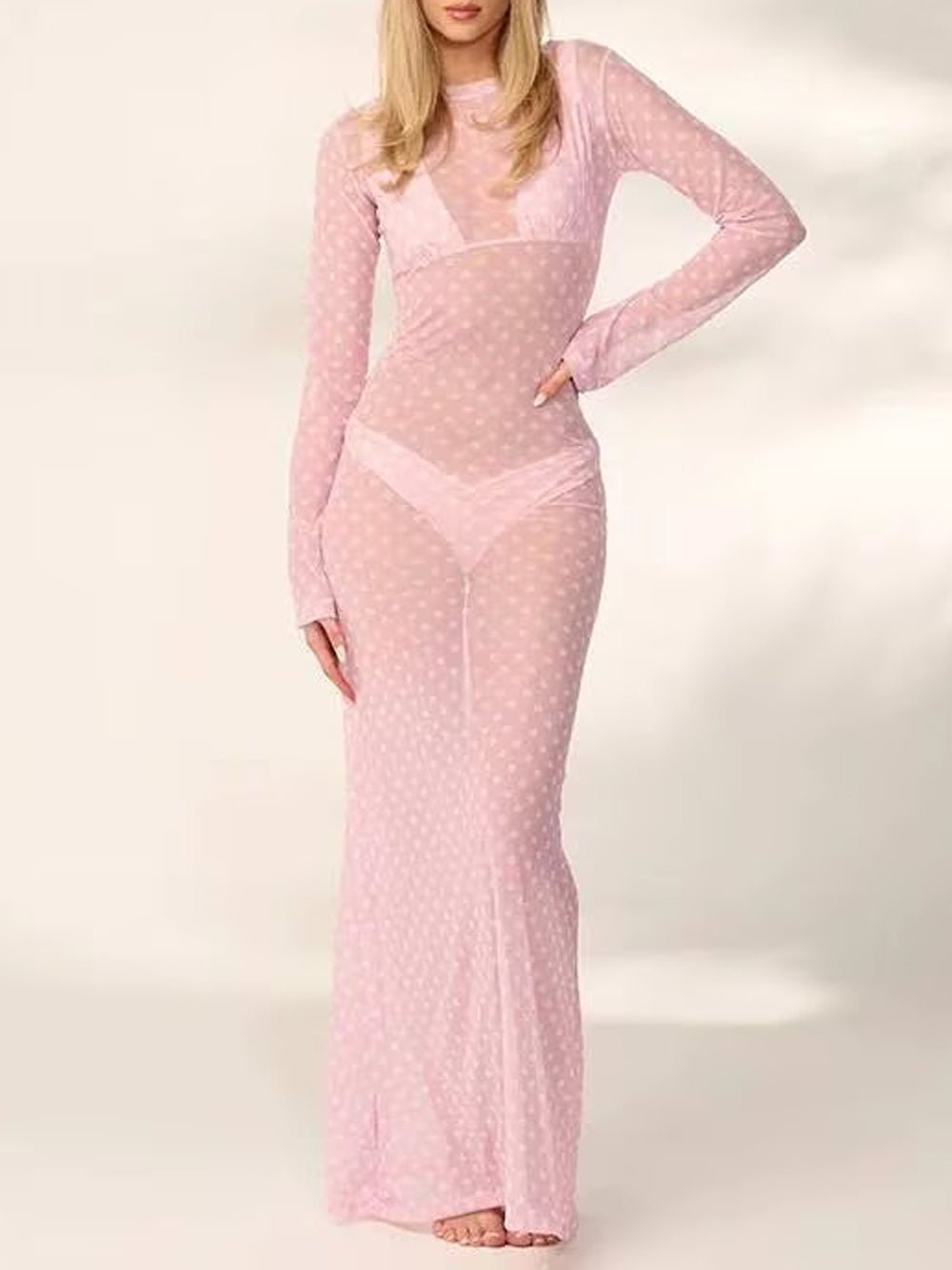 Paloma Mesh Swim Cover Maxi Dress