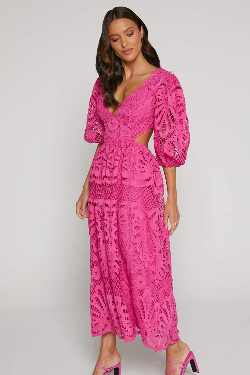Sandra Embroidered Lace Cut-out Midi Dress - View 8