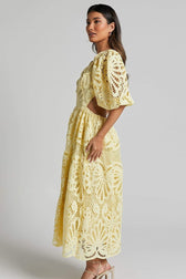 Sandra Embroidered Lace Cut-out Midi Dress - View 4
