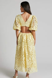 Sandra Embroidered Lace Cut-out Midi Dress - View 5