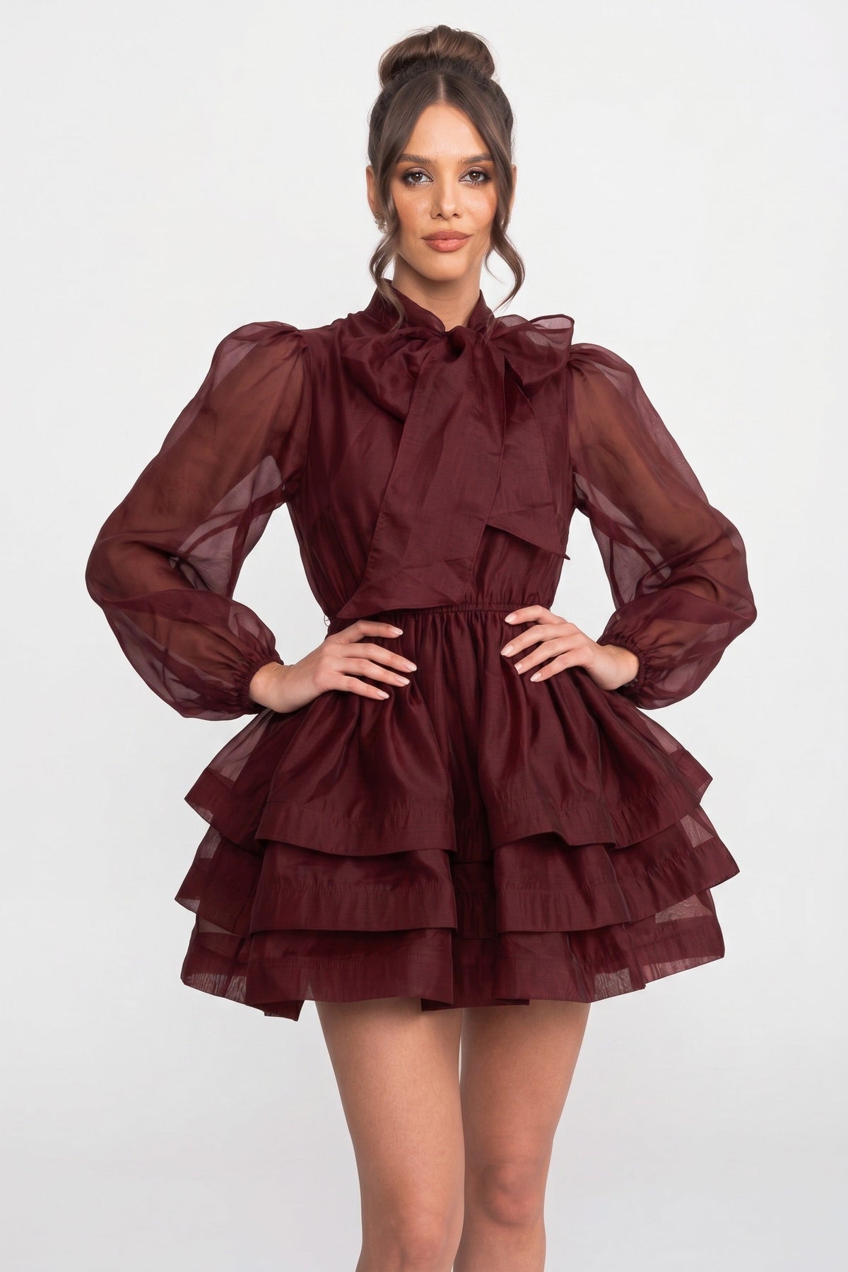 Bow Tie Neck Sheer Puff Sleeve Organza Tiered Ruffle Mini Dress 3