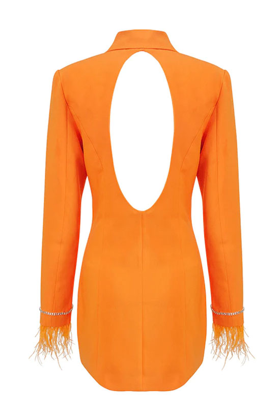 Sparkly Feather Trim Long Sleeve Blazer Mini Dress - Orange - View 5