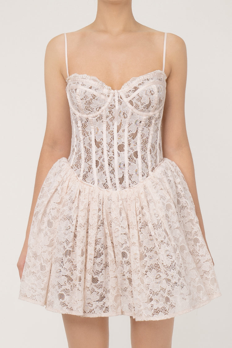 Vintage Bustier Corset Drop Waist Tulle Layer Lace Slip Party Mini Dress