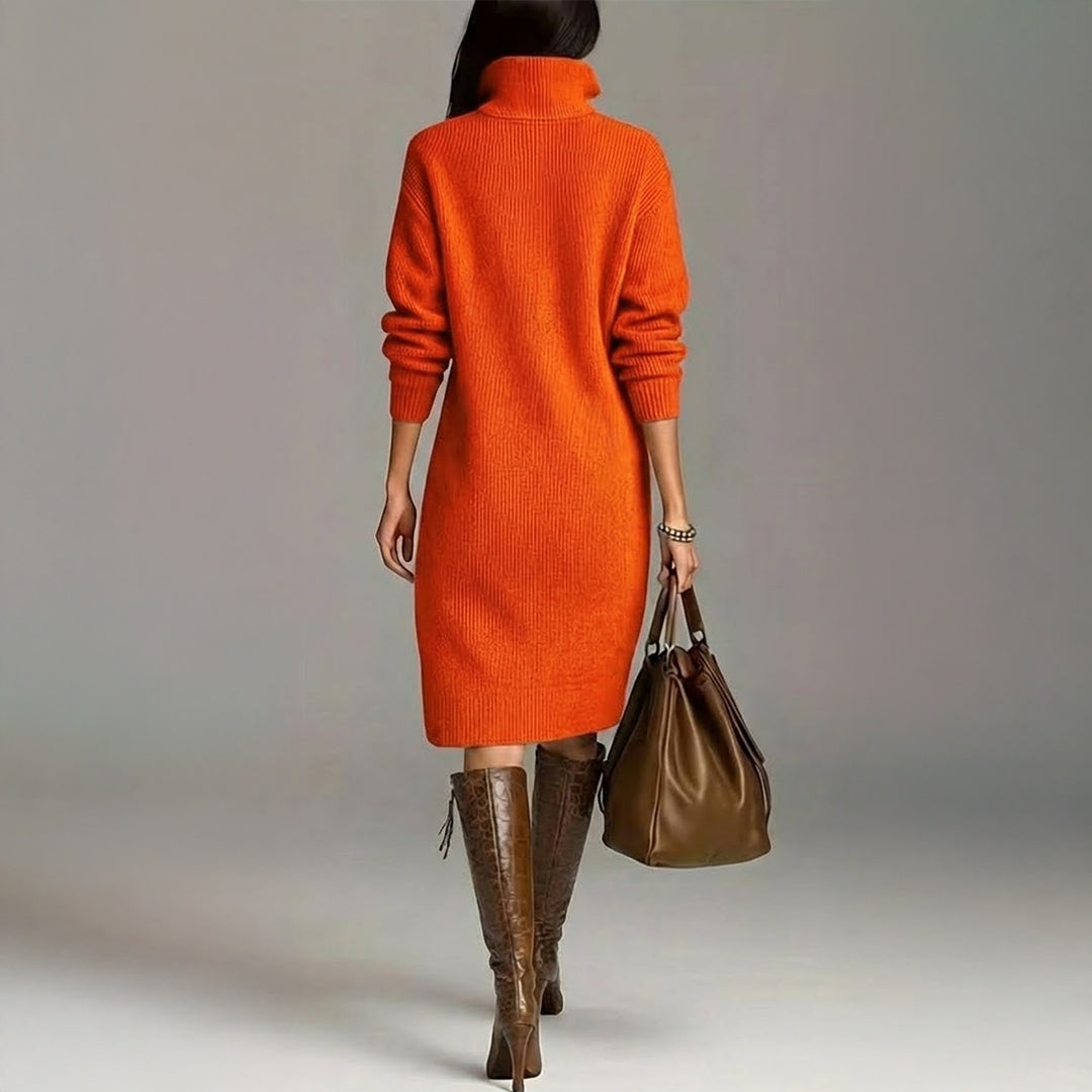 Knit High Neck Long Sleeve Button Shift Midi Dress 4